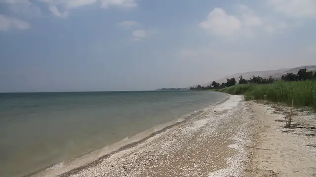 חוף הכנרת ביום קיץ